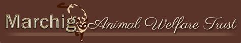 The Marchig Animal Welfare Trust Welcome