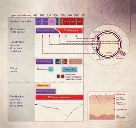 Rayonnements Optiques Ce Quil Faut Retenir Risques Inrs