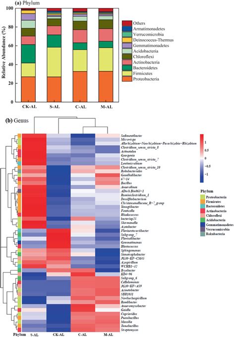 Effects Of Srb On The Relative Abundance Of The Top Bacterial Phyla