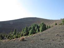 Ruta De Los Volcanes Wildnis Wandern De