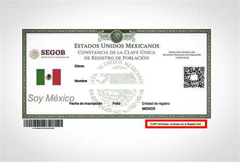 C Mo Obtener Una Curp Certificada De Manera Oficial