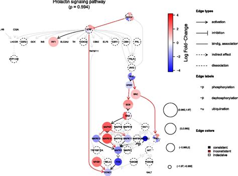 Topaseq An R Package For Topology Based Pathway Analysis Of