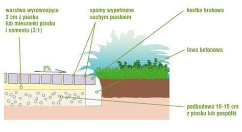 Ścieżka w ogrodzie Poradnik jak wybrać kostkę brukową na ścieżki w