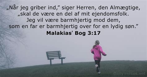 Den 17 juni 2024 Dagens bibelvers Malakiasʼ Bog 3 17 DailyVerses net