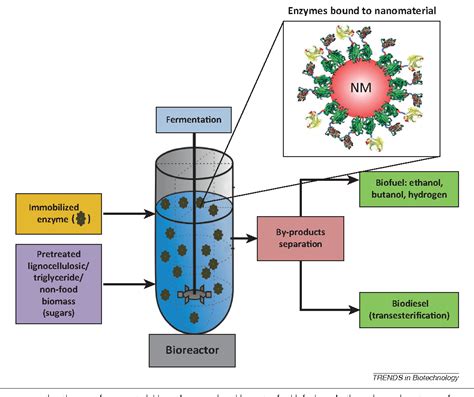 Figure 1 From Enzyme Immobilization On Nanomaterials For Biofuel