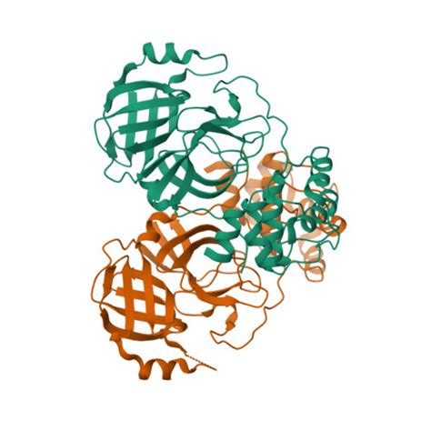 RCSB PDB 4XFQ Crystal Structure Basis For PEDV 3C Like Protease