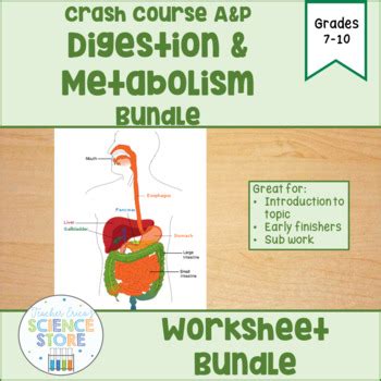 Crash Course A P Digestion Metabolism Bundle By Teacher Erica S