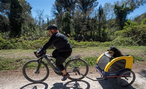 Pnrr 55 Milioni Al Parco Del Delta Del Po Piste Ciclabili Cammini E