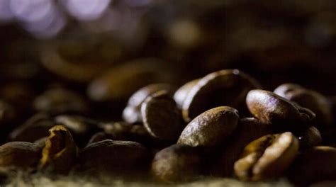 Indicador do café arábica tem forte oscilação AGROemDIA