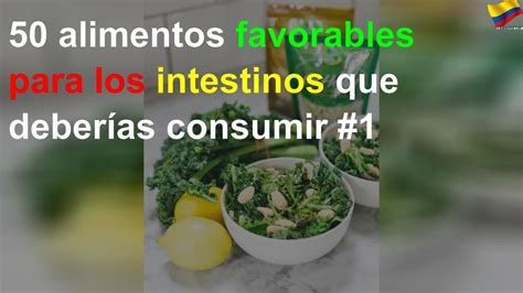 Los Alimentos Que Son Buenos Para Tus Intestinos 1 YouTube