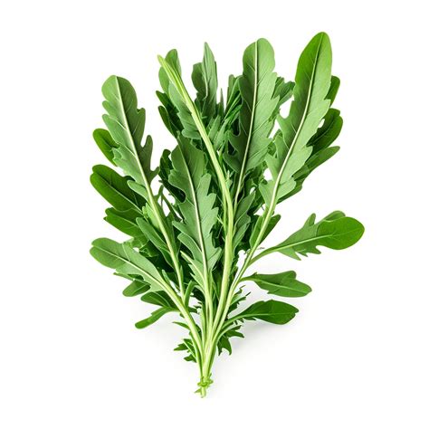 Premium Photo A Bunch Of Green Aragula Leaves With White Background