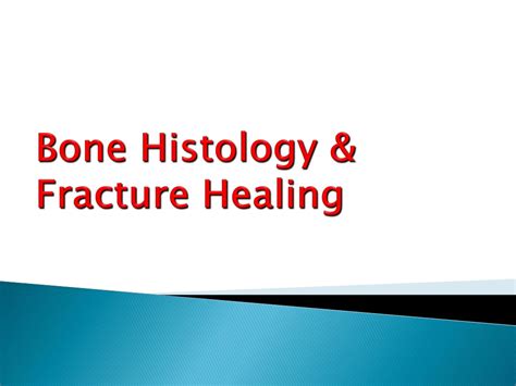 PPT - Bone Histology & Fracture Healing: Hyaline Cartilage and