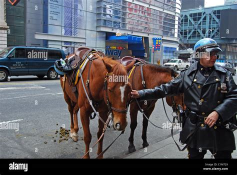 Mounted Police with horses, Manhattan, New York, United States of ...