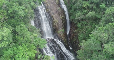 Reserva Biol Gica Estadual Da Canela Preta Celebra Anivers Rio De