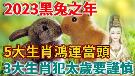 2023黑兔之年，這5個生肖注意了，菩薩保佑鴻運當頭，但有3個生肖犯太歲，務必要小心！丨禪語 Youtube