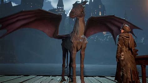 How to Get the Thestral Mount in Hogwarts Legacy - Prima Games