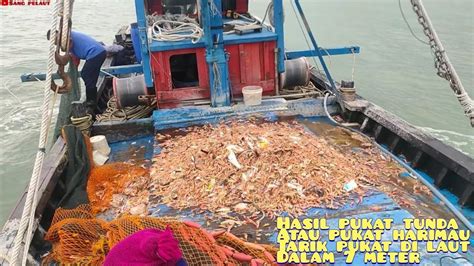 Tarik Pukat Di Kedalaman Laut Meter Seperti Ini Hasil Nya Trawl