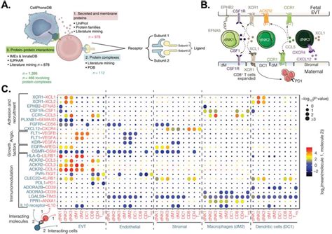 Inferred Cellcell Signaling Through Ligandreceptor Interaction