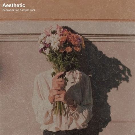 Aesthetic (Bedroom Pop Sample Pack)