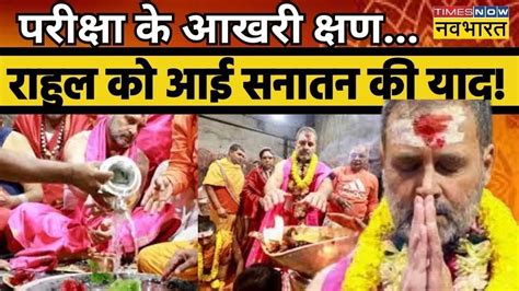 Rahul In Baba Baidyanath Dham News Live Deoghar Temple Rahul भक्ति में लीन24 का क्लियर