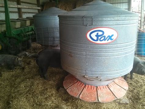 Homemade Outdoor Hog Feeders Homemade Ftempo