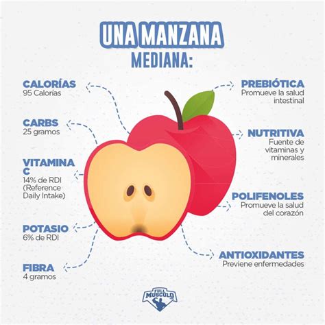 17 Propiedades Y Beneficios De La Manzana • Fullmusculo