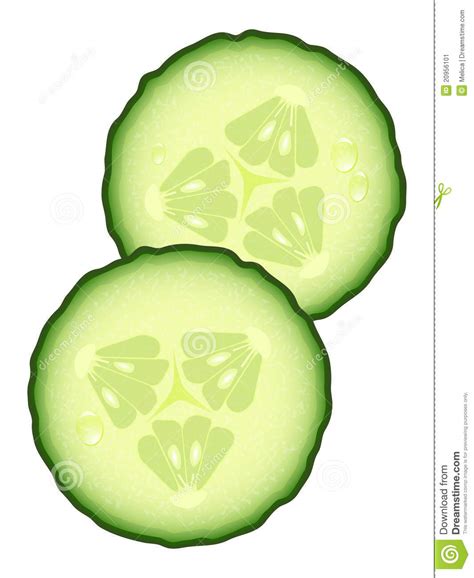 Cucumber slices clipart - Clipground