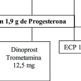 Descri O Do Protocolo Ecp Cipionato De Estradiol Rb Remo O Dos