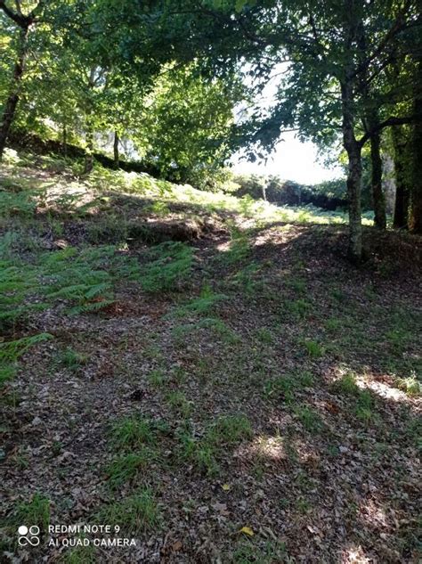 Quinta à venda lugar de Paço s n Ribeira do Neiva Vila Verde