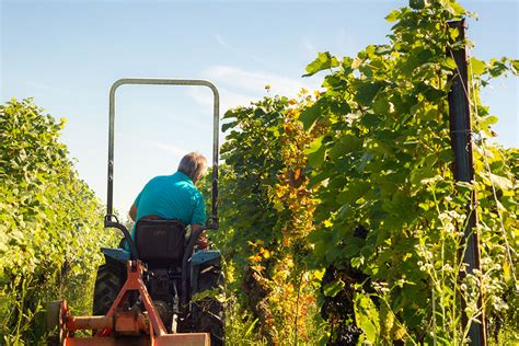 Welche Eink Nfte Aus Land Und Forstwirtschaft K Nnen Steuerlich Auf