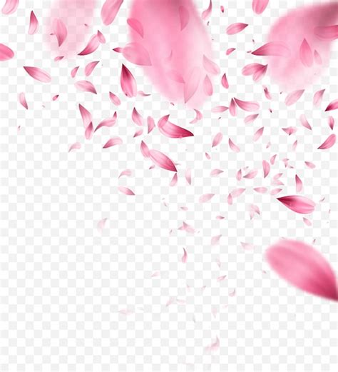 Rosa sakura cayendo pétalos de fondo Vector Premium