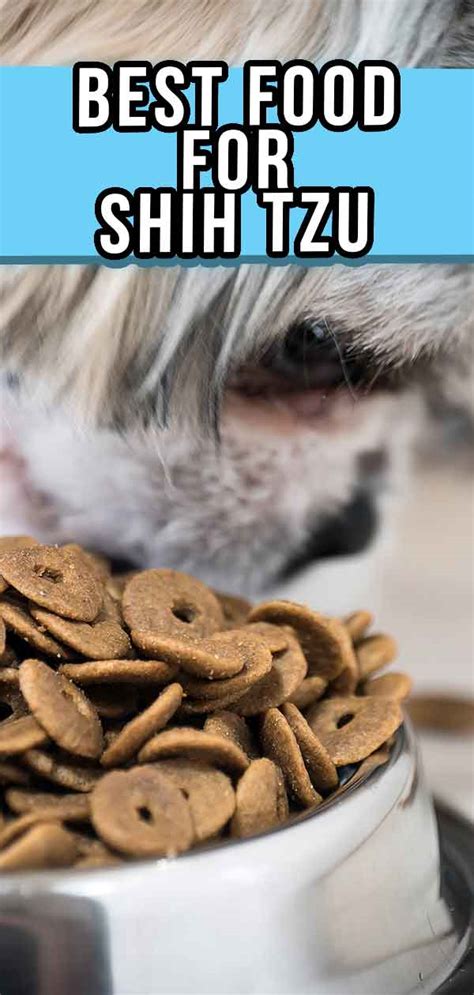 Best Dog Food For Shih Tzu Puppies Adults And Seniors