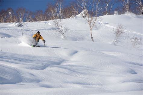 Ski Niseko