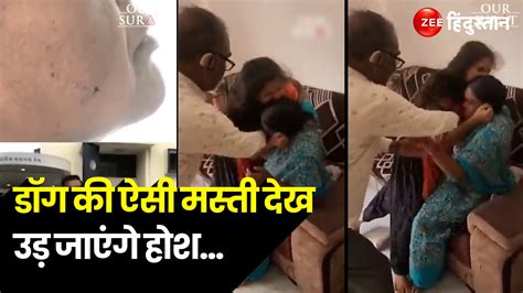 Daughter In Law Beats Up And Bites Old Mother In Law In A Fight Over Property Fight Viral