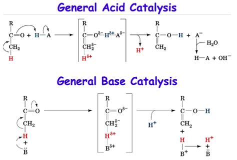 General Acid Base Reaction