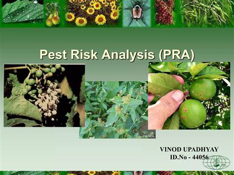 Pest Risk Analysis Ppt