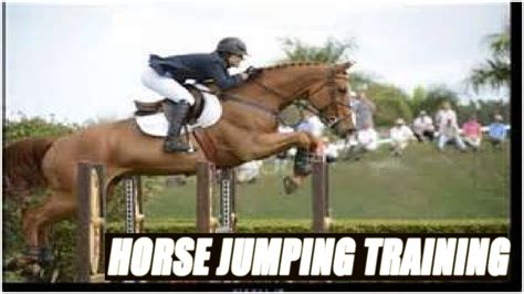 Horse Jumping Training Exercises - YouTube