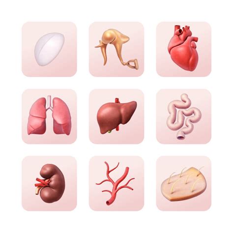 Organ Donation Icons Armin Schieb Illustration