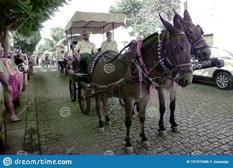 Yearly Pilgrimage In Carmona Seville In Honor Of The Patron Saint The Holy Virgin Of Grace 31