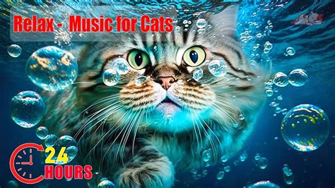 24 Hours Relax Music For Cat Music For Nervous And Anxious Deep Sleep