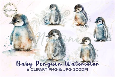 Baby Penguin Watercolor Clipart Graphic By Nastine Creative Fabrica