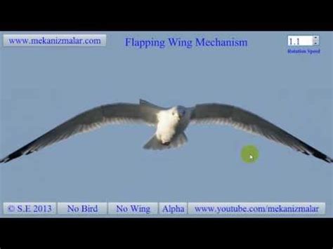 Wing Flapping Mechanism - YouTube