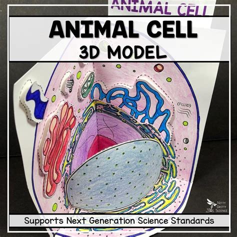 Animal Cell 3d Model Nitty Gritty Science