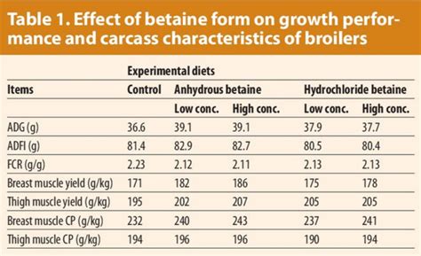 Improving Broiler Meat Quality With Betaine Poultry World