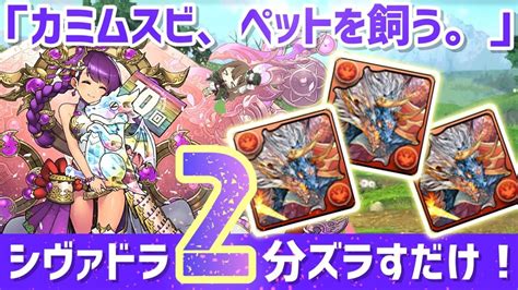 【パズドラ】カミムスビ、ペットを飼う。シヴァドラループ2分ズラすだけ超簡単周回編成！ │ パズドラの人気動画や攻略動画まとめ パズル