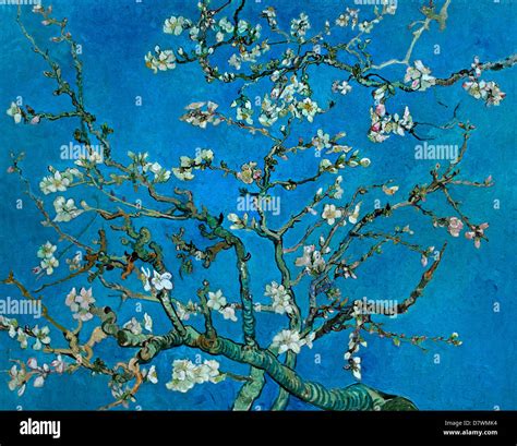 Almond Blossom Tree Van Gogh