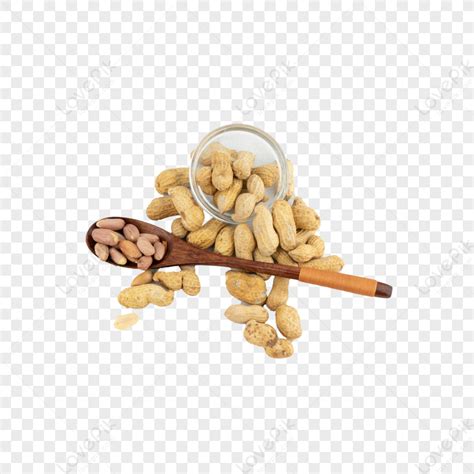 Fruit Protein Peanut Shell Peanut Food Peanut Shells Photography Free Png And Clipart Image For