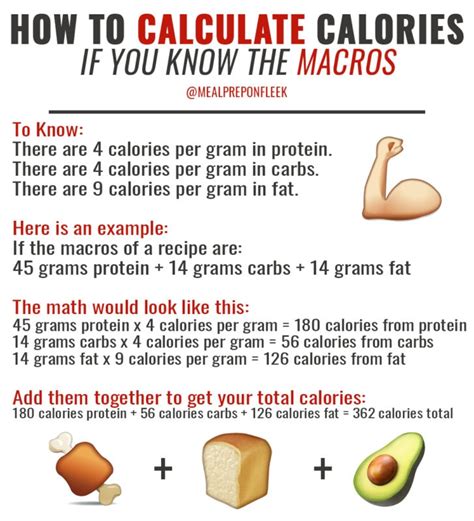 Macro Calculator For Weight Loss