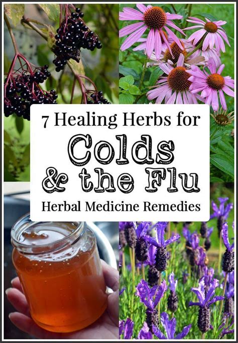 Grow These Herbal Remedies for Colds and Flu | Natural healing remedies, Herbal medicine, Herbal ...