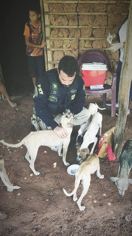 Prf Realiza Opera O Enchente Em Apoio S V Timas Dos Alagamentos No